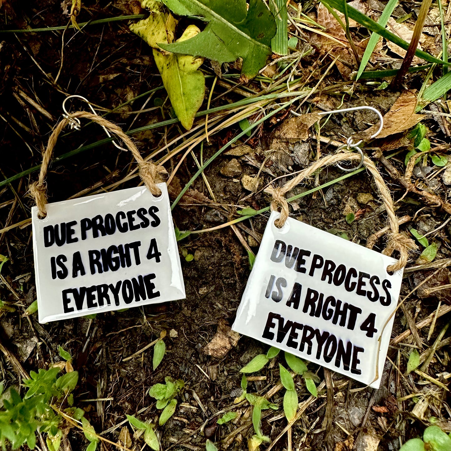 Due Process is a Right 4 Everyone