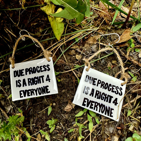 Due Process is a Right 4 Everyone