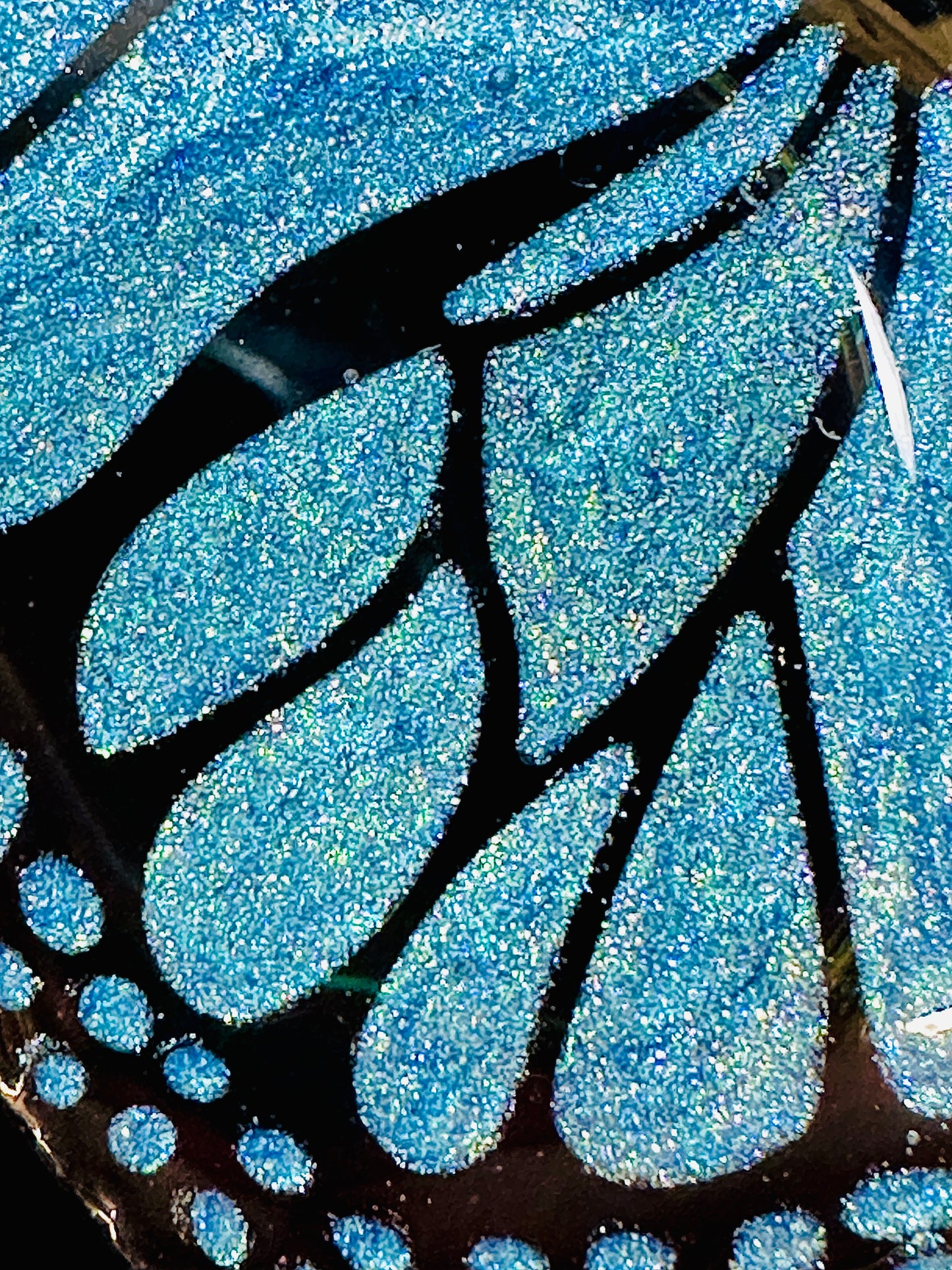 Shimmering Blue Wings - Monarch